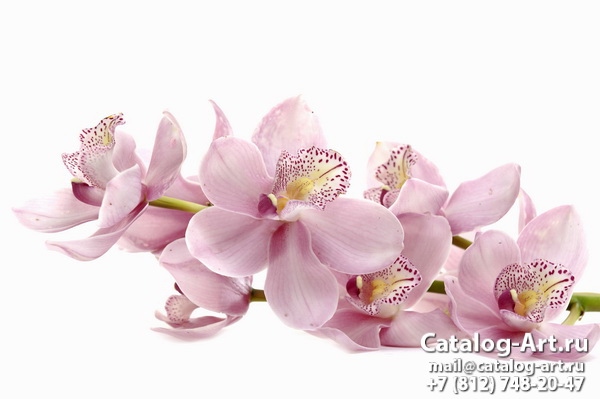 Натяжные потолки с фотопечатью - Розовые орхидеи 53